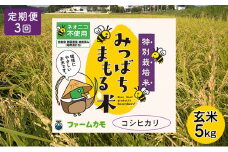 2025年10月上旬以降発送開始【定期便3回】雄踏ファームカモ産　玄米「特選みつばちまもる米」5kg コシヒカリ（3ヶ月連続・合計15kg） お米 ブランド米 ご飯 おにぎり お弁当 産地直送 1等米  [№5786-5347]