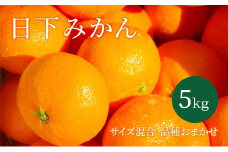 【2025年10月以降順次発送】日下みかん サイズ混合 2S～2L 5kg 秀品 果物類 柑橘類 フルーツ 農薬 有機肥料 光センサー 高品質 おいしい [№5786-5361]