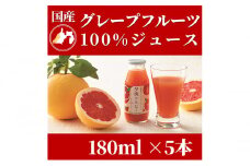 ＜5月中旬以降発送＞浜松市産グレープフルーツ100%ストレートジュース「夕焼けルビー」180ml×5本 果汁飲料 飲み物 ソフトドリンク フルーツジュース 濃縮還元なし [№5786-5389]