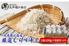 〈丸半堀江商店〉厳選しらす干し　1袋100g×8袋セット【配送不可：離島】 [№5786-5422]