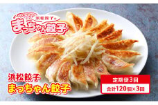 【定期便3回】浜松餃子のまっちゃん餃子まっちゃん餃子40ヶ入り×3袋　計120ヶセット【配送不可：沖縄県・離島】 [№5786-5563]