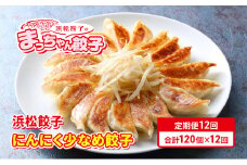 【定期便12回】浜松餃子のまっちゃん餃子にんにく少なめ餃子40ヶ入り×3袋　計120ヶセット【配送不可：沖縄県・離島】 [№5786-5568]