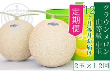 【12ヶ月定期便】クラウンメロン【上(山等級)】中玉(1.3kg前後)2玉入り [№5786-5474]