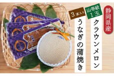 クラウンメロン【上(山等級)】1玉＋うなぎ蒲焼3本セット [№5786-5475]