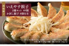 浜松餃子 いえやす餃子 2種 40個 お試し餃子 8個 セット 詰め合わせ 肉餃子 ぎょうざ 餃子 ギョーザ 冷凍餃子 冷凍ぎょうざ 冷凍 冷凍食品 中華 惣菜 食品 おかず 食べ比べ 静岡 静岡県 浜松市 【配送不可：離島】 [№5786-5580]