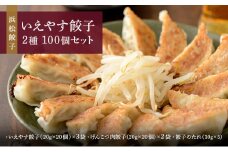 「浜松餃子」いえやす餃子 2種 100個セット【配送不可：離島】 [№5786-5585]