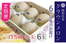 【6ヶ月定期便】クラウンメロン並【白等級】1.3kg前後　6玉入り [№5786-5506]