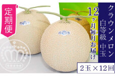 【12ヶ月定期便】クラウンメロン並【白等級】1.3kgぜんご　2玉入り [№5786-5513]