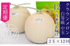 【12ヶ月定期便】クラウンメロン並【白等級】1.3kgぜんご　2玉入り [№5786-5513]