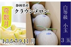 【奇数月6ヶ月定期便】クラウンメロン【並（白等級）】小玉（1.1kg前後）3玉入り [№5786-5534]
