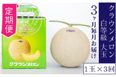 【3ヶ月定期便】クラウンメロン並【白等級】1.4kg前後　1玉入り [№5786-5541]