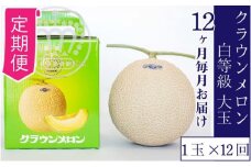【12ヶ月定期便】クラウンメロン並【白等級】1.4kg前後　1玉入り [№5786-5543]