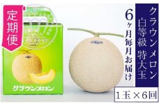 【6ヶ月定期便】クラウンメロン並【白等級】特大玉1.5kg前後　1玉入り [№5786-5545]