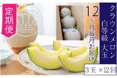 【12ヶ月定期便】クラウンメロン【並（白等級）】大玉（1.4kg前後）3玉入り [№5786-5559]