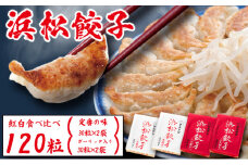 浜松餃子 120粒 2種味くらべ（定番の味60粒、スタミナ60粒）総重量2.4kg！[№5786-5413]