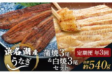 うなぎ 定期便 4ヶ月毎 浜名湖 国産 うなぎ蒲焼 ＆ 白焼 計6尾 小分け セット 鰻 蒲焼 白焼き 食べ比べ 浜名湖うなぎ 浜名湖産 国産うなぎ 惣菜 おかず ギフト 贈答 土用の丑の日 丑の日 蒲焼き 鰻 魚 冷凍 冷凍配送 静岡 静岡県 浜松市 定期 3回 [№5786-5789]