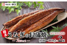 【食べきりサイズ】ITI優秀味覚賞受賞】長蒲焼2尾セット うなぎ 鰻 ウナギ 静岡県 浜松市 【配送不可：離島】  [№5786-5782]