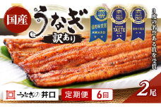 国産うなぎ 定期便 6ヶ月 訳あり うなぎ 2尾 セット ITI優秀味覚賞受賞  蒲焼 国産 ウナギ 鰻 うなぎの蒲焼 詰め合わせ 国産うなぎ蒲焼 魚 和食 惣菜 真空パック 訳アリ 静岡 静岡県 浜松市 6回 定期 【配送不可：離島】 [№5786-5784]
