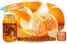 三ヶ日みかん　みかんの瓶詰詰め合わせ2本セット （900g×2本セット）[№5786-5796]