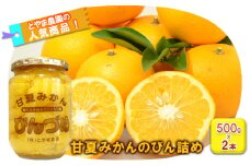 甘夏みかんビン詰め　小瓶2本セット（500g×2本セット）[№5786-5798]