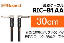 【Roland純正】楽器ケーブル 30cm/RIC-B1AA【配送不可：離島】 [№5786-5954]