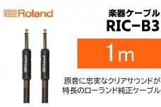 【Roland純正】楽器ケーブル 1m/RIC-B3【配送不可：離島】 [№5786-5955]