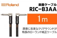 【Roland純正】楽器ケーブル 1m/RIC-B3AA【配送不可：離島】 [№5786-5956]