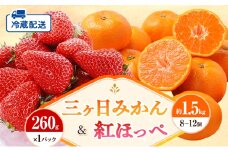 【2026年1月中旬より順次発送】 フルーツセット 紅ほっぺ 1パック 三ヶ日みかん 1.5kg セット 詰め合わせ 青島みかん みかん いちご 苺 果物 旬のフルーツ 旬の果物 静岡 静岡県 浜松市 【配送不可：離島】 [№5786-5960]