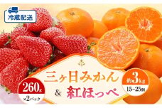 【2026年1月中旬より順次発送】 フルーツセット 紅ほっぺ 2パック 三ヶ日みかん 3kg セット 詰め合わせ 青島みかん みかん 蜜柑 いちご 苺 果物 旬のフルーツ 静岡 静岡県 浜松市 【配送不可：離島】 [№5786-5961]