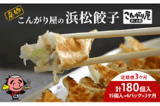 【定期便3回】こんがり屋の浜松餃子60個入り はままつ 中華料理 静岡 名物【配送不可：離島】 [№5786-5977]