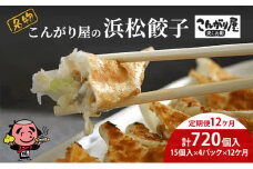 【定期便12回】こんがり屋の浜松餃子60個入り はままつ 中華料理 静岡 名物【配送不可：離島】 [№5786-5979]
