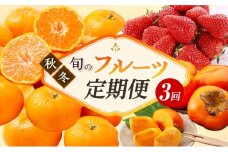 【2025年11月上旬より発送】浜松市のフルーツ定期便 3回（11月～1月）次郎柿・三ヶ日みかん早生・紅ほっぺ【配送不可：離島】 [№5786-5791]