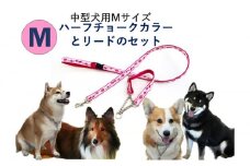 【中型犬用・Mサイズ】 ハーフチョークカラーとリードのセット（マゼンダピンクフラワー）  [№5786-5592]