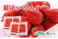 【2026年1月中旬より順次発送】紅ほっぺいちご 約260g×4パック【配送不可：離島】 [№5786-5770]