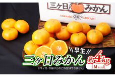 【2025年11月中旬より順次発送】 三ヶ日みかん 早生 4kg M～L 早生みかん みかん 蜜柑 ミカン 果物 くだもの 旬のフルーツ 旬の果物 季節のフルーツ 季節の果物 柑橘 柑橘類 静岡 静岡県 浜松市 [№5786-5772]