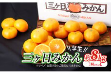 【2025年11月中旬より順次発送】 三ヶ日みかん 早生 8kg M～L 早生みかん みかん 蜜柑 ミカン 果物 くだもの 旬のフルーツ 旬の果物 季節のフルーツ 季節の果物 柑橘 柑橘類 静岡 静岡県 浜松市 [№5786-5774]