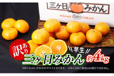 【2025年11月中旬より順次発送】 訳あり 三ヶ日みかん 早生 4kg 早生みかん みかん 蜜柑 ミカン 果物 くだもの 旬のフルーツ 旬の果物 季節のフルーツ 季節の果物 柑橘 柑橘類 訳アリ 静岡 静岡県 浜松市 [№5786-5775]