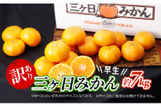 【2025年11月中旬より順次発送】 訳あり 三ヶ日みかん 早生 7kg 早生みかん みかん 蜜柑 ミカン 果物 くだもの 旬のフルーツ 旬の果物 季節のフルーツ 季節の果物 柑橘 柑橘類 訳アリ 静岡 静岡県 浜松市 [№5786-5776]