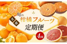 【2026年1月中旬より発送】浜松市の柑橘定期便 4回（1月～4月）三ヶ日みかん青島・せとか・不知火・グレープフルーツ[№5786-5959]