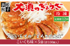 【定期便12回】浜松餃子 大須のぎょうざ［ 浜松ぎょうざ まろやか風味＜ こいくち味 ＞］×5袋（1袋20個入、合計100個）[№5360-0006]
