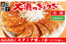 【定期便6回】浜松餃子 大須のぎょうざ［ 浜松ぎょうざ にんにくマシマシ！元気回復！＜ スタミナ味 ＞］× 5袋（1袋20個入、合計100個）[№5360-0008]