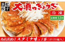 【定期便12回】浜松餃子 大須のぎょうざ［ 浜松ぎょうざ にんにくマシマシ！元気回復！＜ スタミナ味 ＞］× 5袋（1袋20個入、合計100個）[№5360-0009]