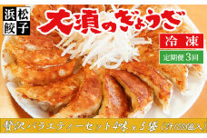 【定期便3回】浜松餃子 大須のぎょうざ［ 浜松ぎょうざ 贅沢バラエティーセット 4味 ＜ レギュラー、こいくち、スタミナ、こくうま ＞］× 5袋（1袋20個入、合計100個）[№5360-0013]