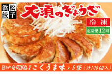 【定期便12回】浜松餃子 大須のぎょうざ［ 浜松ぎょうざ とまらぬコクと旨いを堪能！＜ こくうま味 ＞］× 5袋（1袋20個入、合計100個）[№5360-0012]