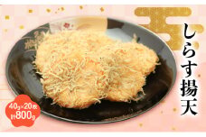 しらす揚天 40g×20枚　計800g 国産 静岡県 練り物 おつまみ おでん 煮物 食材 料理 食品 [№5360-0029]
