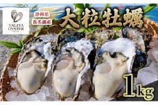 【2026年1月より順次発送】浜名湖産かき大粒むき身1kg（加熱用）先行予約 牡蠣 海鮮 魚介 国産 浜名湖産 貝付き 生牡蠣 焼き牡蠣 蒸し牡蠣 冷蔵 産地直送 [№5360-0038]