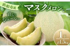 【2025年7月上旬より順次発送】静岡県浜松市産マスクメロン1.5kg×1個 [№5360-0040]