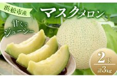 【2025年7月上旬より順次発送】静岡県浜松市産マスクメロン1.5kg×2個 [№5360-0041]