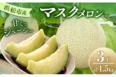 【2025年7月上旬より順次発送】静岡県浜松市産マスクメロン1.5kg×3個 [№5360-0042]