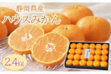【2025年6月下旬より順次発送】静岡県浜松市産ハウスみかん2.4kg [№5360-0044]